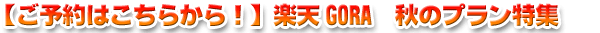 ڤͽϤ餫顪۳ŷGORAΥץý