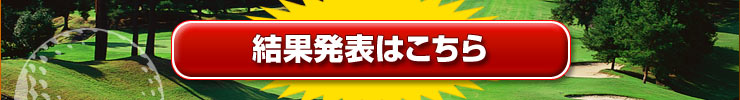 2006ǯ軻ꥹޥǯ󥰥󥳥ڷȯɽϤ