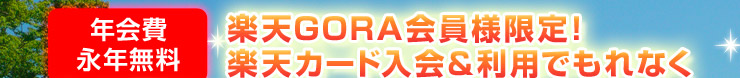 ŷGORA͸ꡪŷɿѤǤʤ