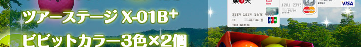 ĥơX-01B+ӥӥåȥ顼32Ĥʤץ쥼ȡ