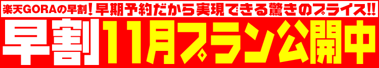 ŷGORAͽ󥭥ڡ