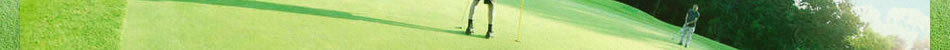 Ѵ֡2010ǯ112011ǯ1ޤ