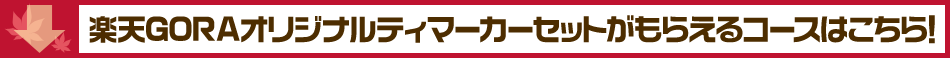ŷGORAꥸʥƥޡåȤ館륳Ϥ顪