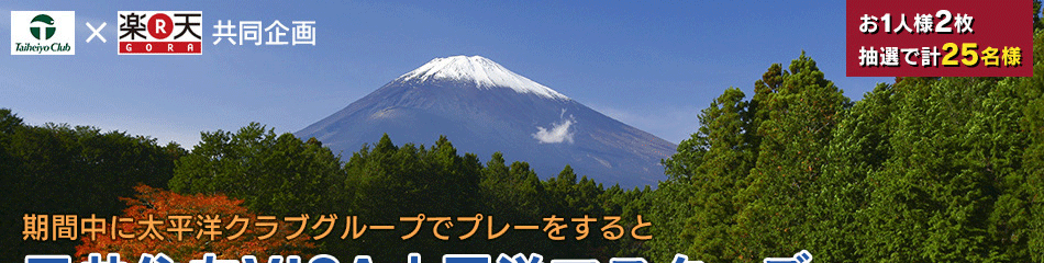 2014 潻ͧVISAʿΥޥ״åȤ롪
