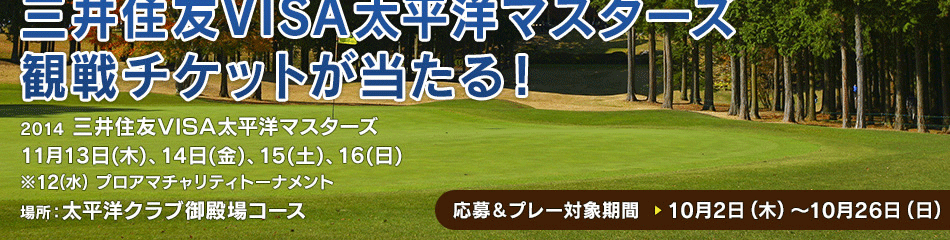 2014 潻ͧVISAʿΥޥ״åȤ롪