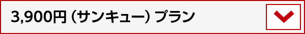 3,900ߡʥ󥭥塼˥ץ