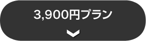 3,900ߥץ
