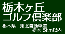 ڥ֥նڸ