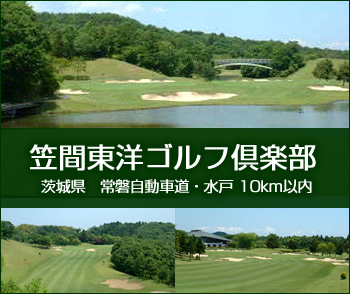 ޴Υնʰ븩