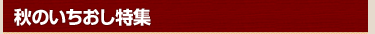 Τý