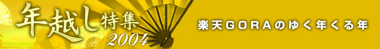 ǯۤý2004ŷǣϣңΤ椯ǯǯ