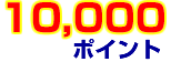 10,000ݥ