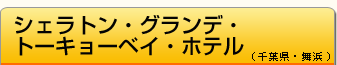 ȥ󡦥ǡȡ硼٥ۥƥո͡