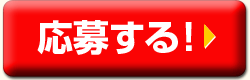 礹롪
