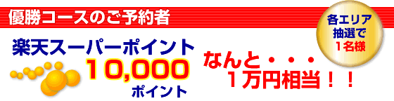 ͥΤͽԡŷѡݥ10,000ݥȡ