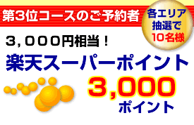 裳̥Τͽԡŷѡݥ3,000ݥȡ