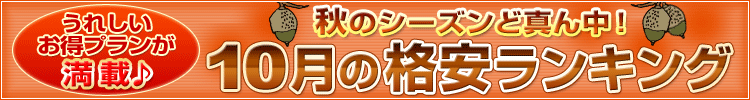Υ ɿ桪10γʰ¥󥭥