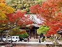 修禅寺