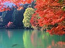 四尾連湖畔