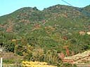 嶮