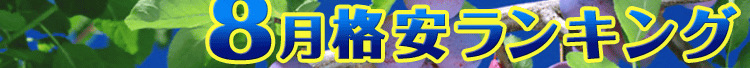 8月格安ランキング