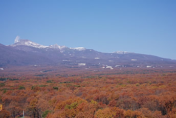 Сܥեǥڸ