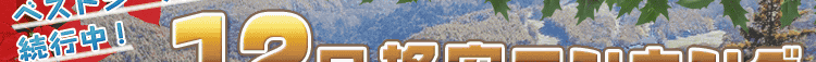 ޤޤ٥ȥ³桪12γʰ¥󥭥