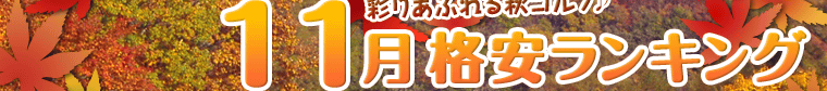 11月格安ランキング