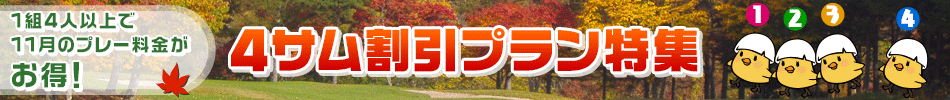 ʰ¤ǥץ졼Ǥ륳