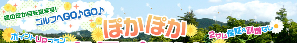 ץݤݤץý