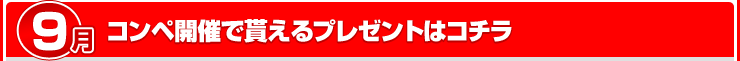 9ΥڳŤ㤨ץ쥼Ȥϥ