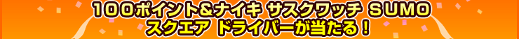 100ݥȡʥå SUMO  ɥ饤С롪