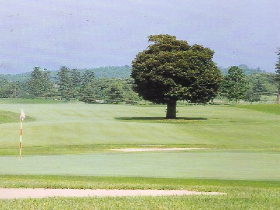 武蔵ゴルフクラブ（旧：武蔵ＯＧＭゴルフクラブ）3