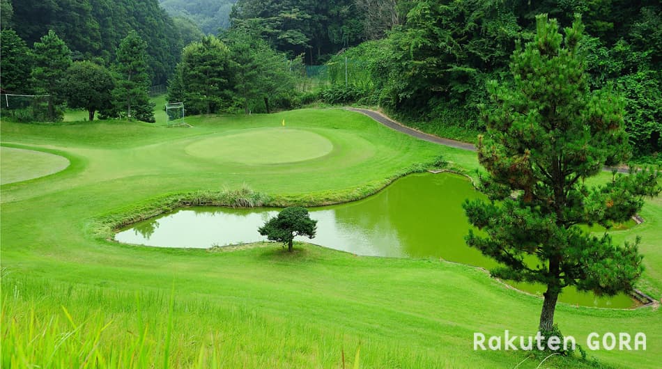 ¥³¡¼¥¹¥á¥¤¥ó²èÁü