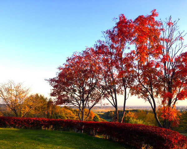紅葉が美しいゴルフ場特集 東日本版 楽天gora