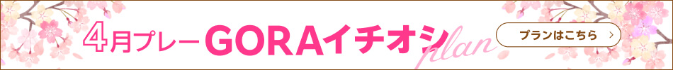 イチオシプランはこちら