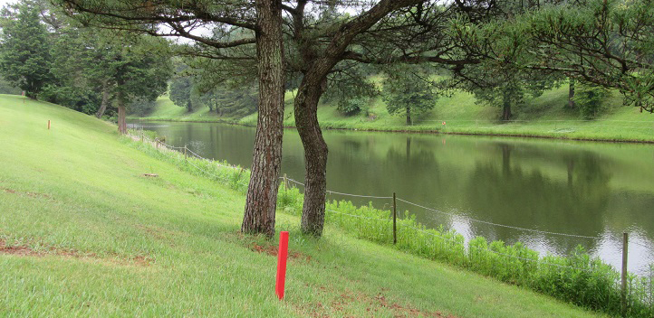 間違いやすいボールが池に入ったときの処置方法 楽天gora ゴルフ場予約