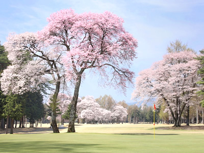 信州伊那国際ゴルフクラブの写真