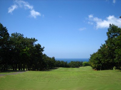 白浜ゴルフ倶楽部コース写真3