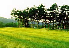 宮城野ゴルフクラブの写真