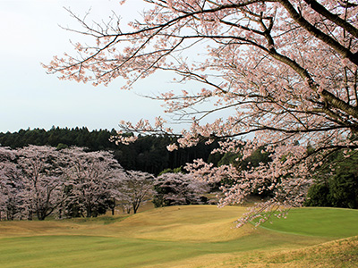 桜の宮ゴルフ倶楽部の写真