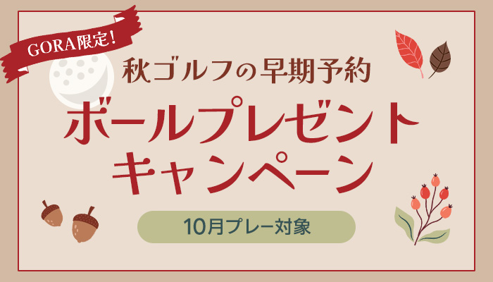 ボールプレゼント