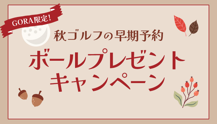 ボールプレゼント