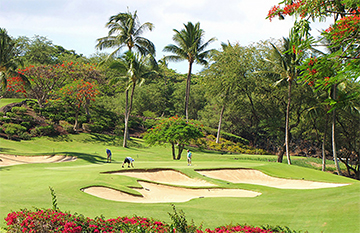 Wailea Golf Club Emerald Course