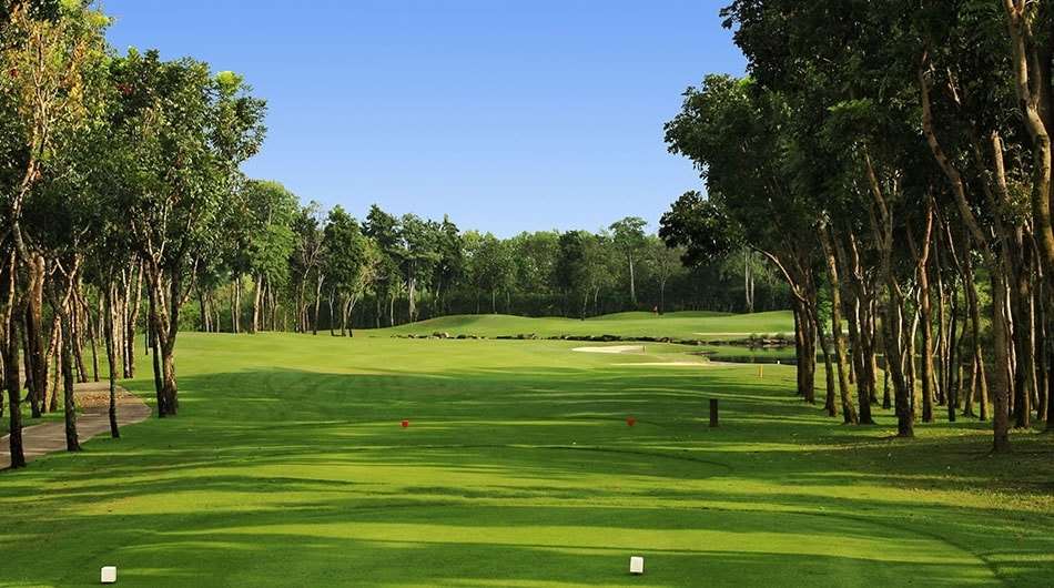 コースメイン画像